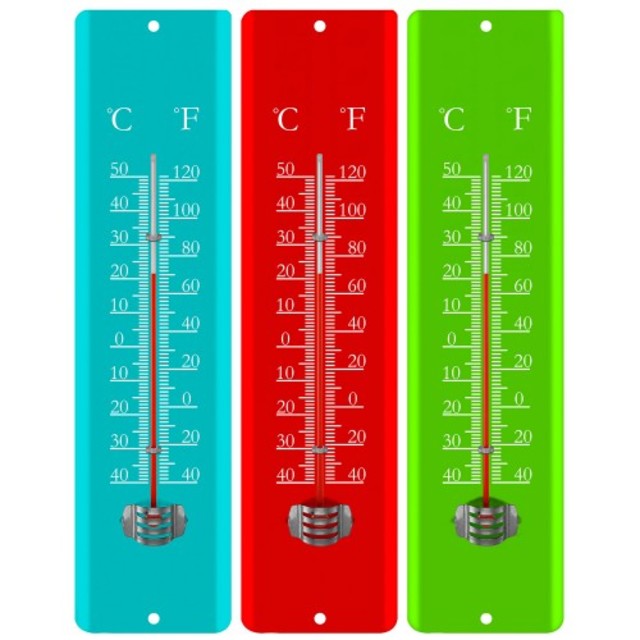 La Crosse Wall Thermometer 285mm