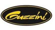 Service agents for Guzzini induction and refrigeration